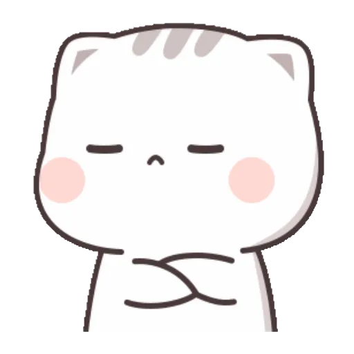Cat cute  23