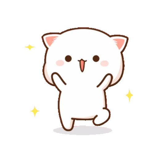Cat cute  9
