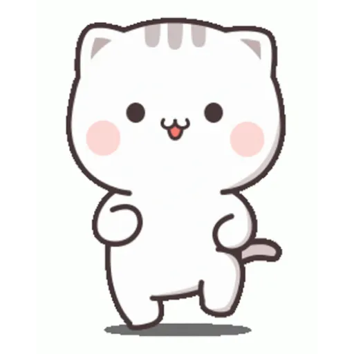 Cat cute  3