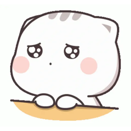 Cat cute  21