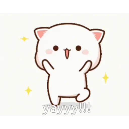 Cat cute  10