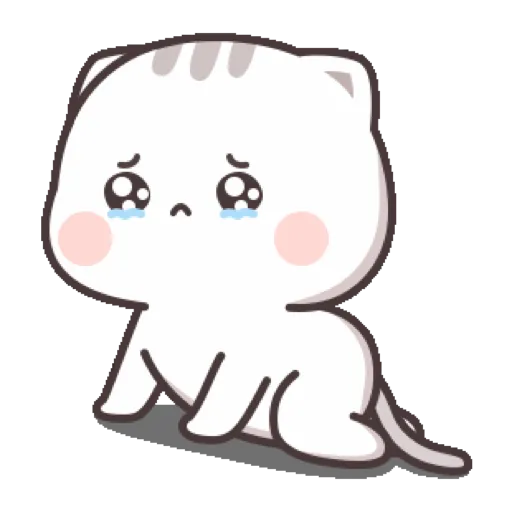 Cat cute  22