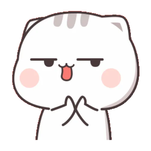 Cat cute  20