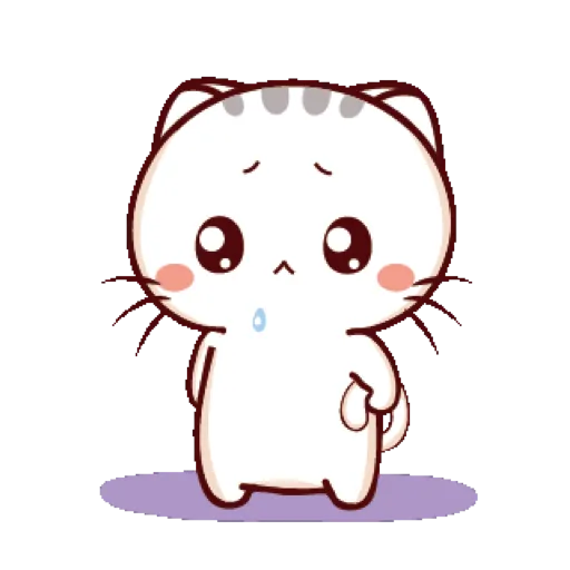 Cat cute  24