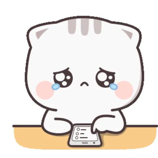 Cat cute  16