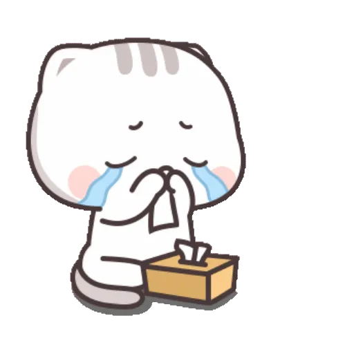 Cat cute  13