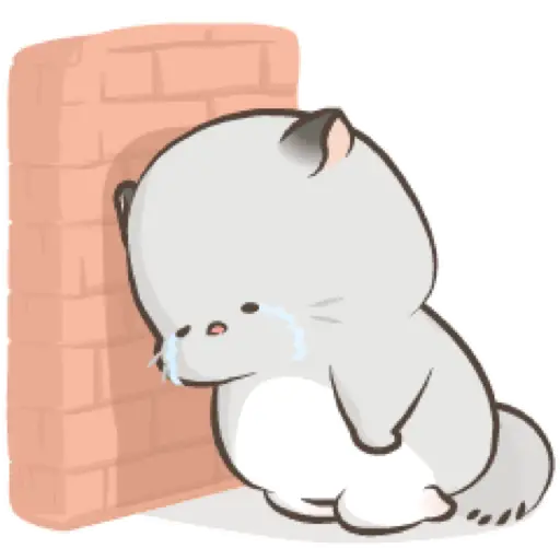 Cat cute  15
