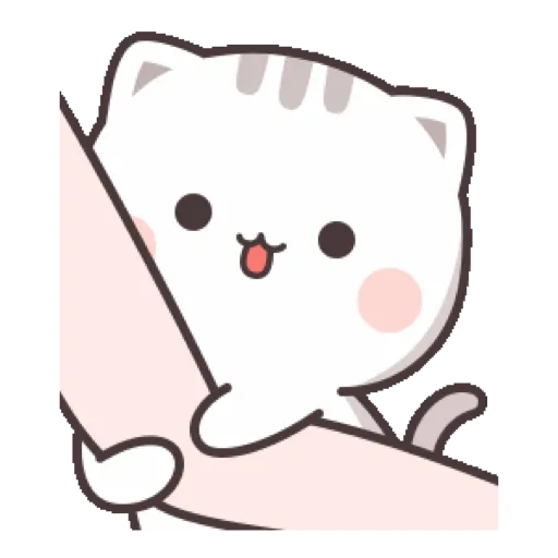 Cat cute  4