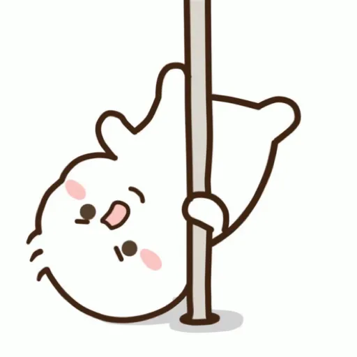 Cat cute  18