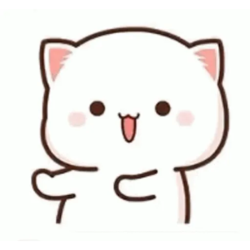 Cat cute  8
