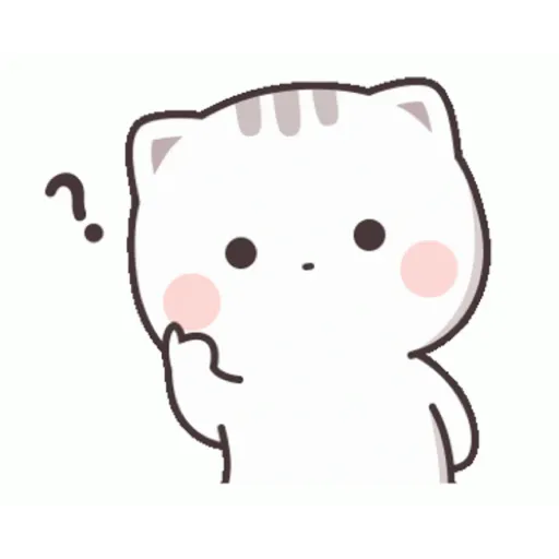 Cat cute  5