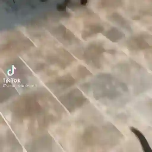 Si u 3