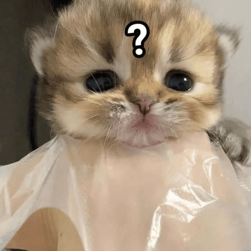 Cat 20