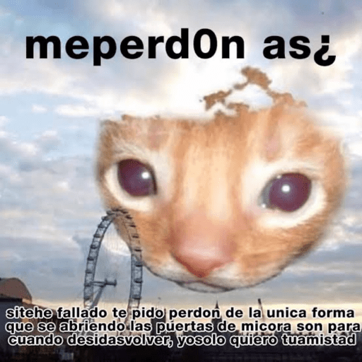 Cat 30