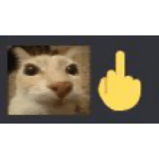Cat 13