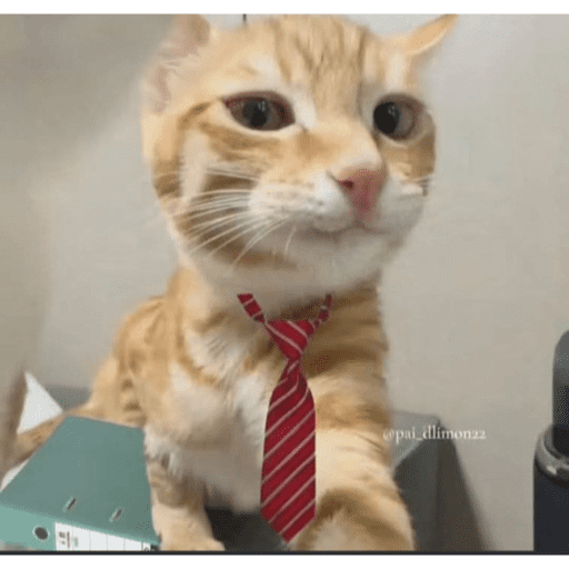 Cat 25