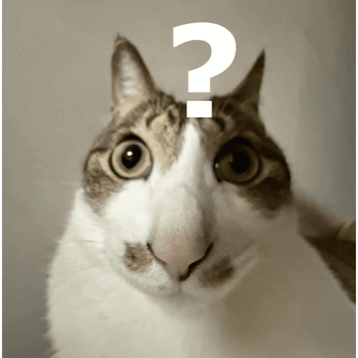 Cat 21