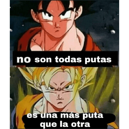 Dragon ball 11