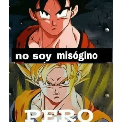 Dragon ball 10