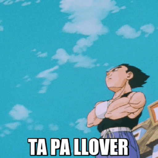 Dragon ball 8