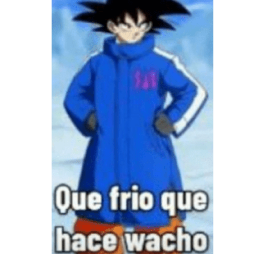 Dragon ball 21