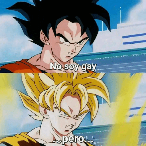 Dragon ball 13