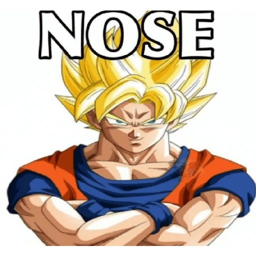 Dragon ball 14