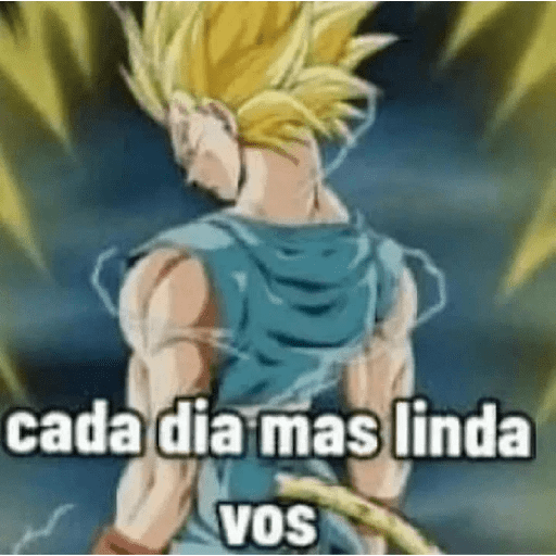 Dragon ball 15