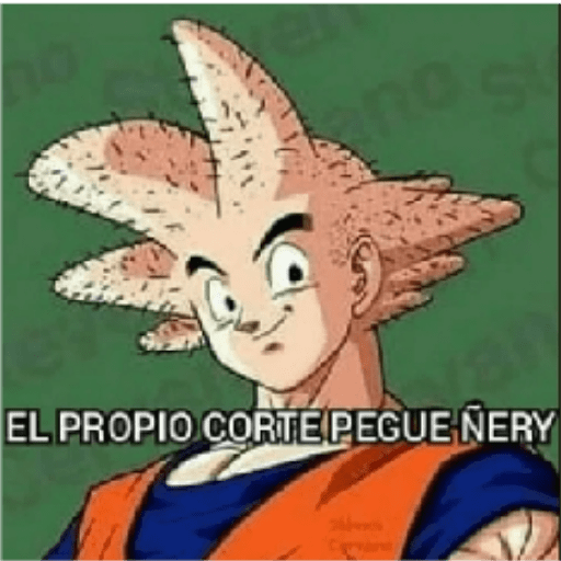 Dragon ball 19