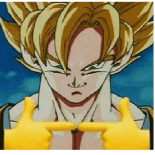 Dragon ball 12