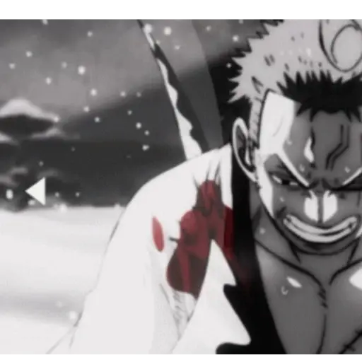Roronoa Zoro 25