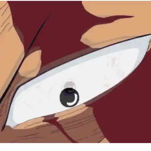 Roronoa Zoro 4
