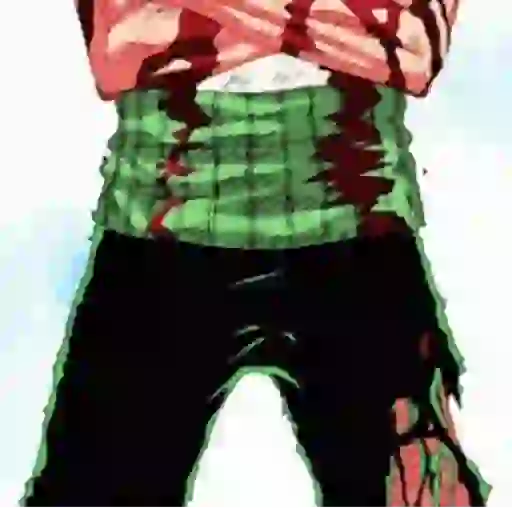 Roronoa Zoro 5
