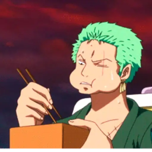 Roronoa Zoro 30