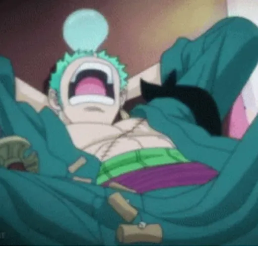 Roronoa Zoro 27