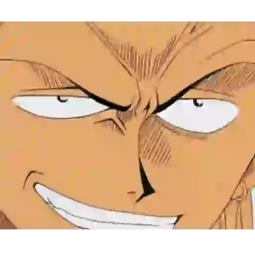 Roronoa Zoro 15