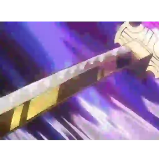 Roronoa Zoro 23