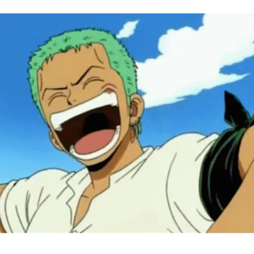 Roronoa Zoro 13