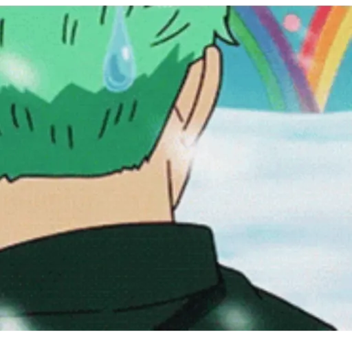 Roronoa Zoro 28