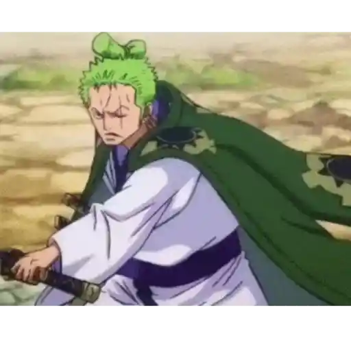 Roronoa Zoro 17