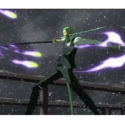 Roronoa Zoro 24