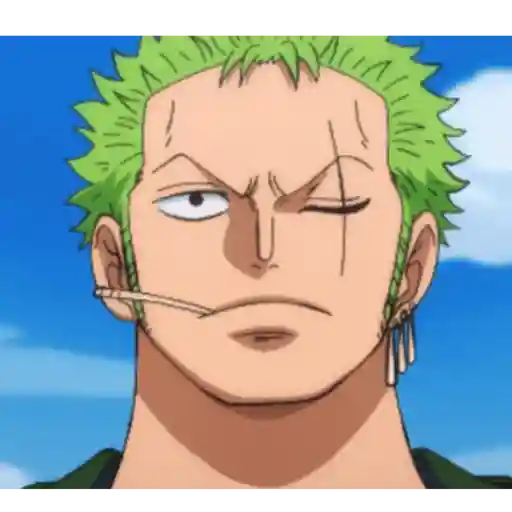 Roronoa Zoro 18