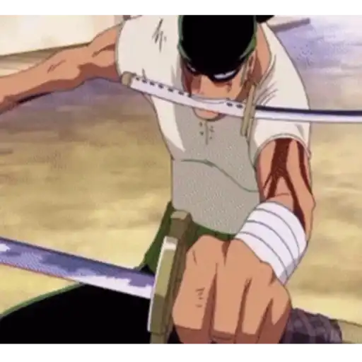 Roronoa Zoro 8