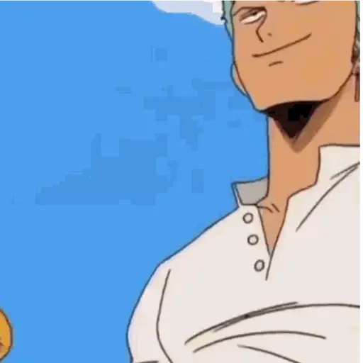 Roronoa Zoro 11