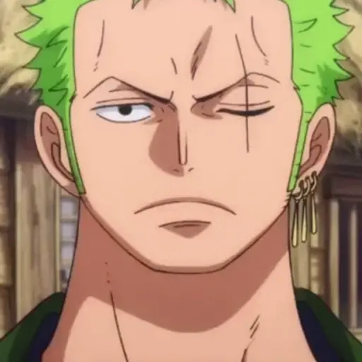 Roronoa Zoro 29