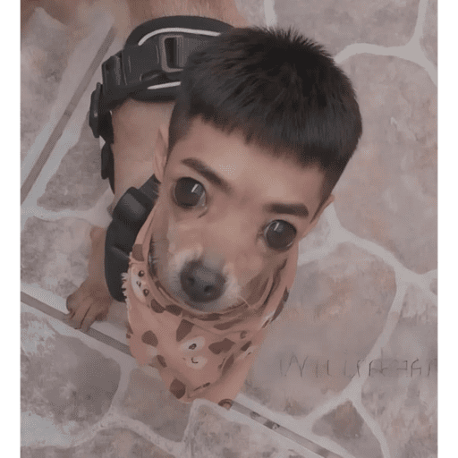 Skibididi 13