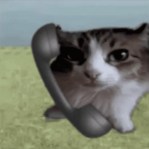 Gatinhos Meme 4