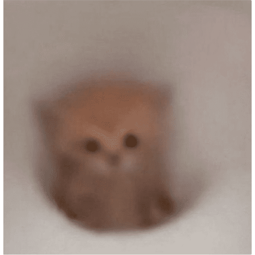 Gatinhos Meme 2