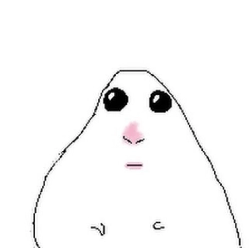 Hamster para Sam 🍃 13