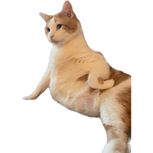 1161265147.png